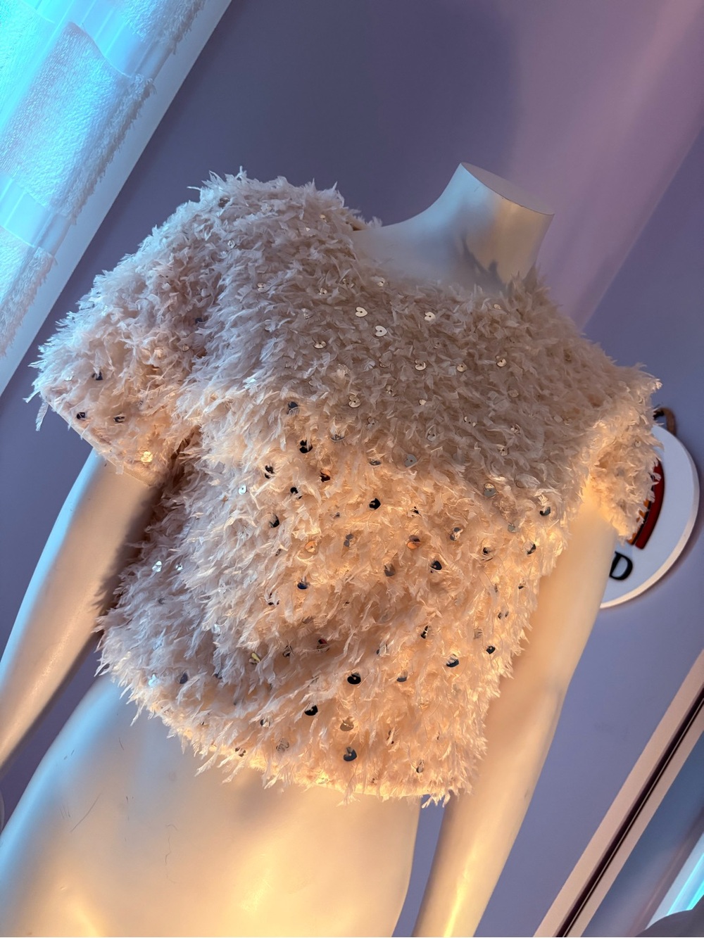 Zara Cream Feather-Texture Sequin Crop Top